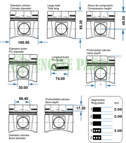 101KU-281