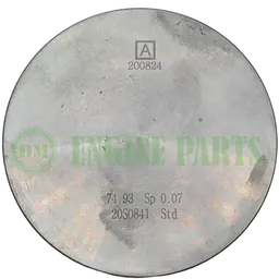101YA-010