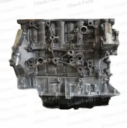 81120