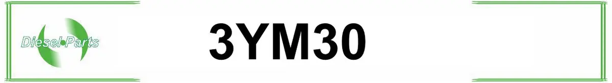 3YM30