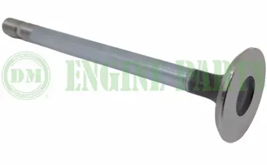 VALV ESC KUBOTA V3307