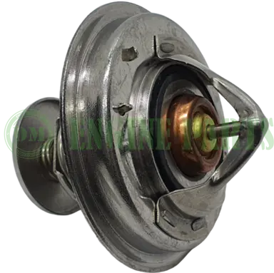 TERMOSTATO MITSUBISHI 4D34
