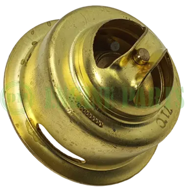 TERMOSTATO MIT D04FD