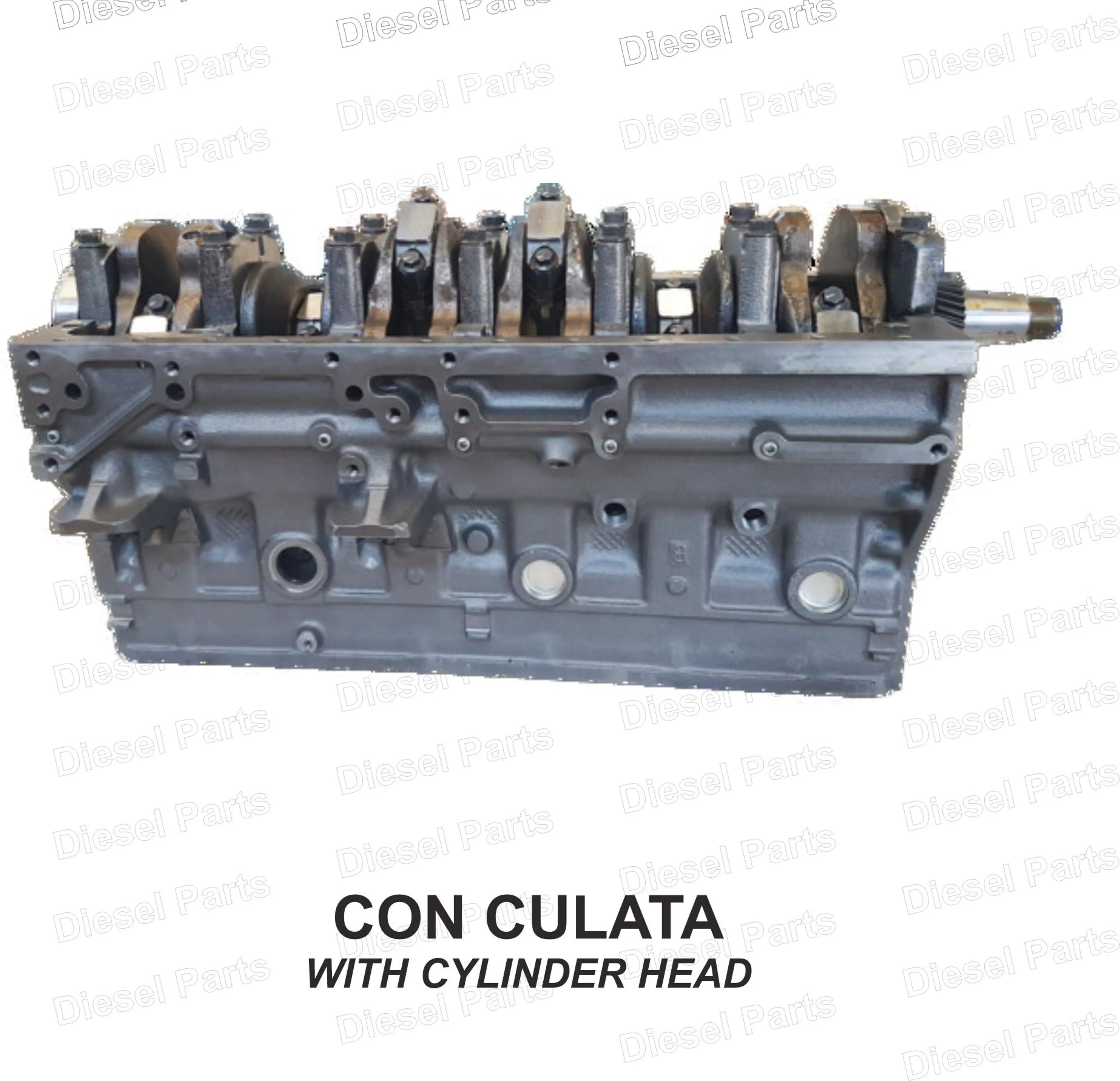 ALIGER 8060.25-8065.25/CON CULAT